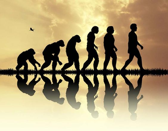 达尔文、开尔文以及演化的故事